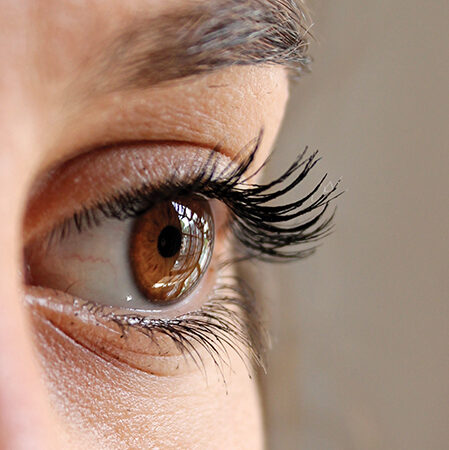 Close-up of a brown eye with long, curled eyelashes, highlighting natural beauty and lash detail.