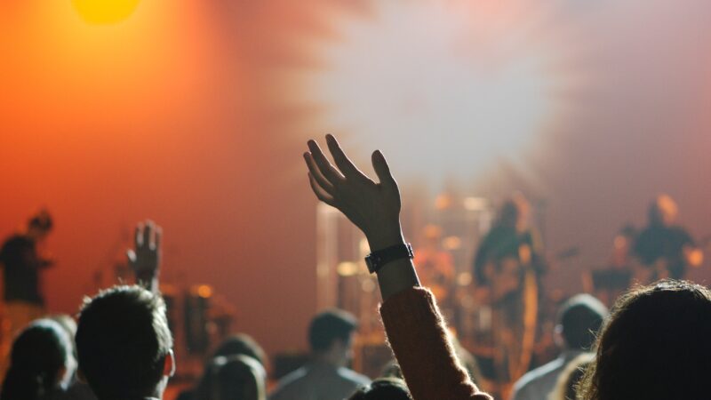 crowd at a concert