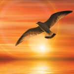 Seagull flying over ocean during vibrant orange sunset with sun rays in background.