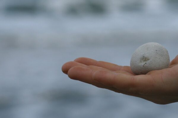 hand holding a stone