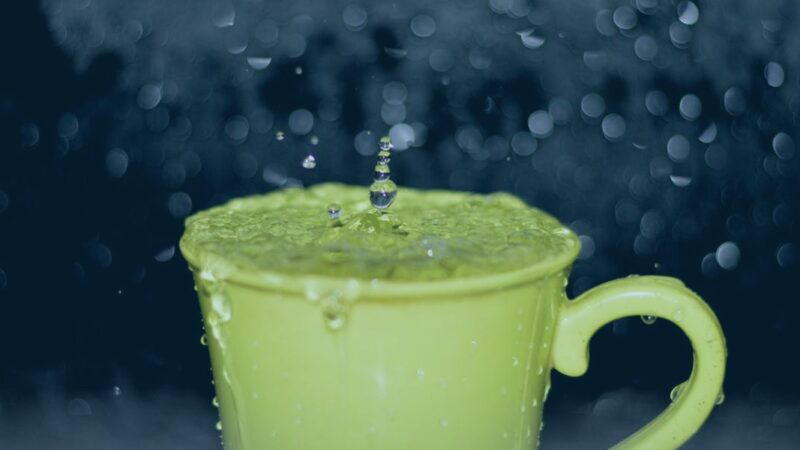 cup of water