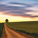 Dirt path through fields at sunset with a lone tree on the horizon under colorful sky.