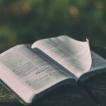 open Bible