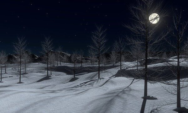 Winter night landscape with bare trees and a bright full moon casting shadows on snow-covered hills.