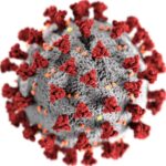 3D illustration of coronavirus with red spike proteins, highlighting its detailed surface structure.
