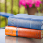 Two stacked leather-bound books on a glass table, outdoors, with pink flowers blurred in the background.