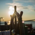 essentials of vibrant leadership