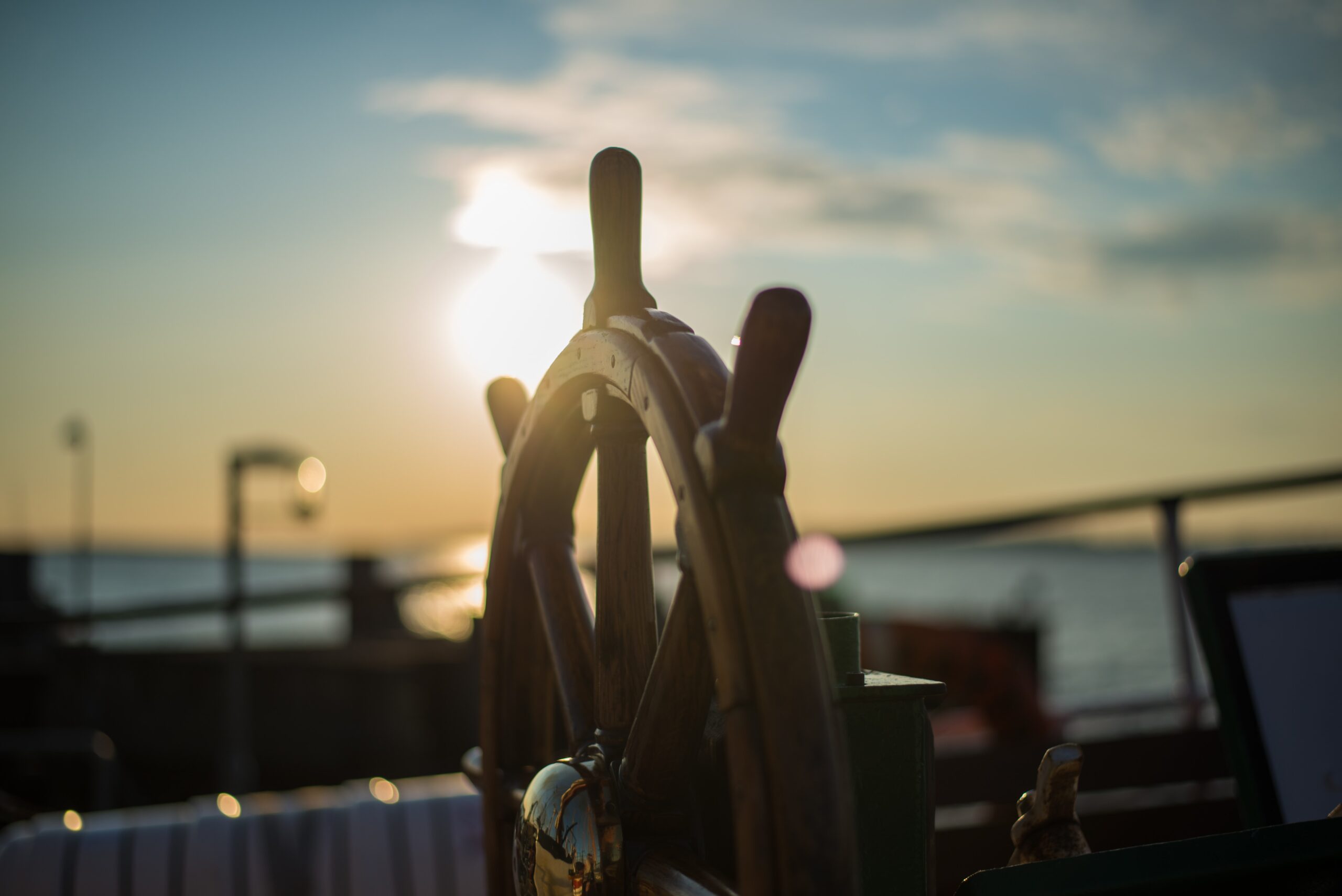 essentials of vibrant leadership