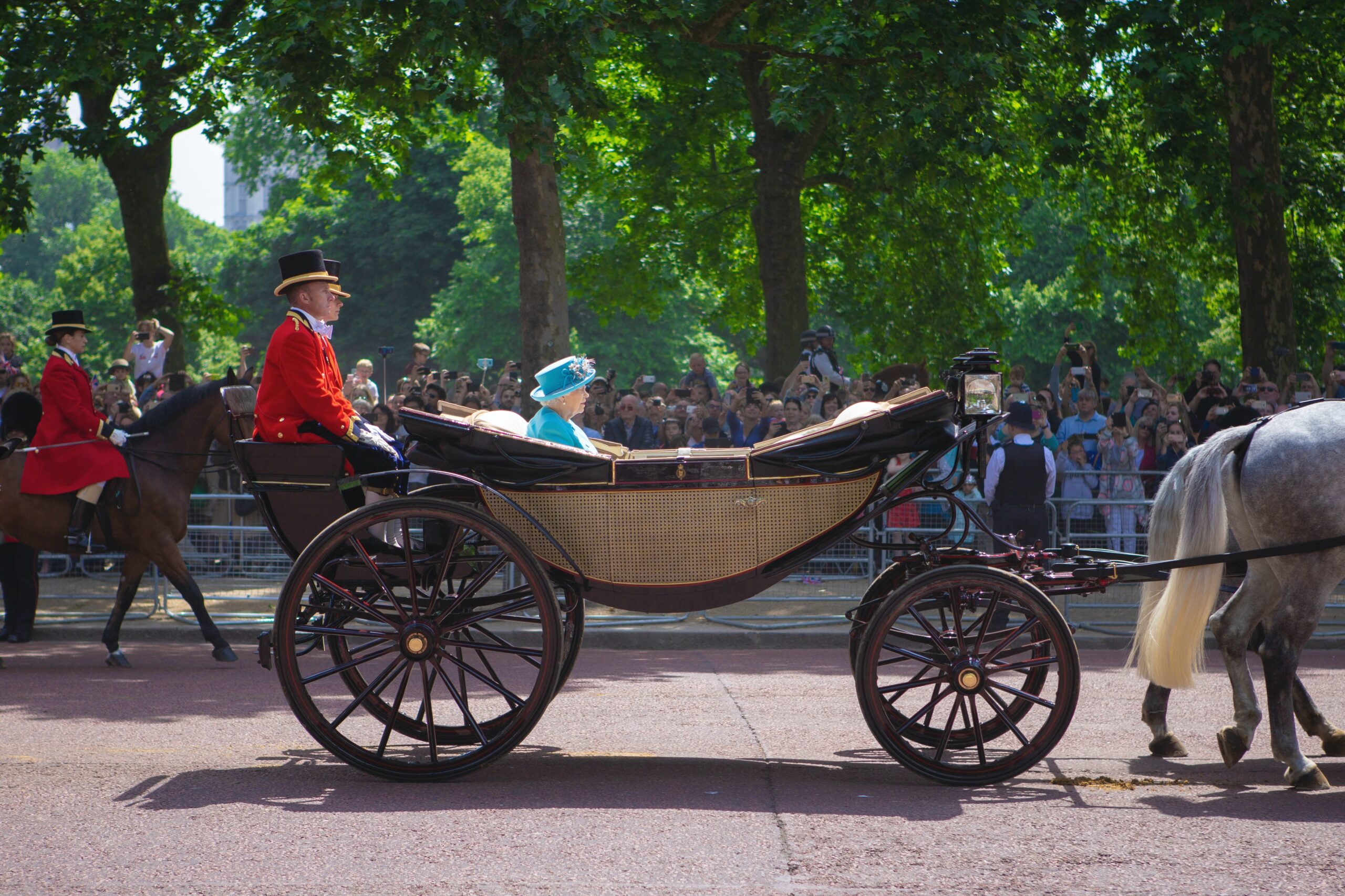 all the queen's horses