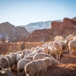 Reaching Our Redemptive Potential: An important lesson from the life of Moses