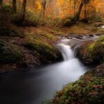 Serene forest stream flowing over rocks amidst autumn foliage, capturing the beauty of nature in vibrant fall colors.