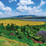 Landscape of Harod Valley and the Jezreel Valley