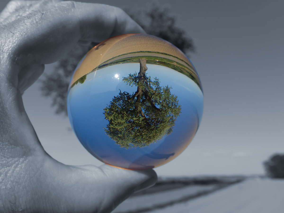 The world is upside down