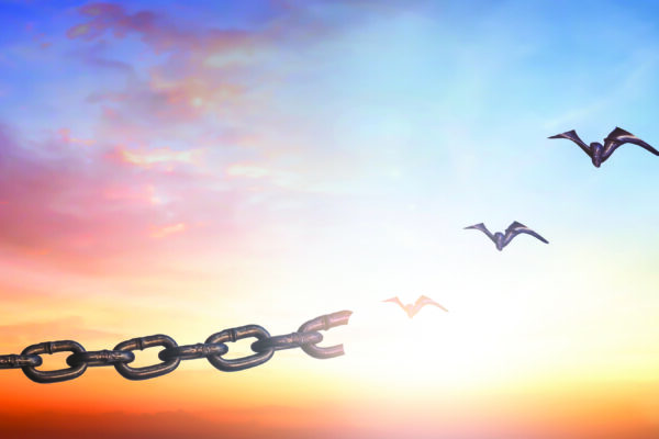 Silhouettes of broken chain and birds flying in sunset sky background