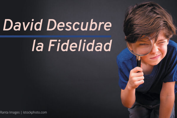 David Series David Descubre la Fidelidad