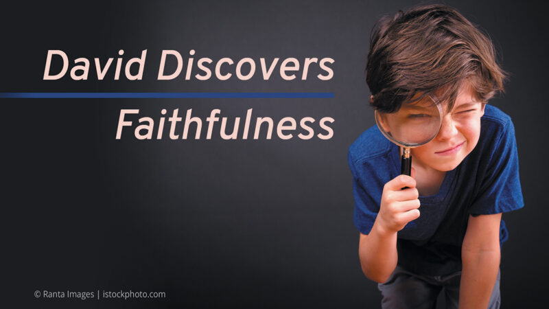 David Series David Discovers Faithfulness