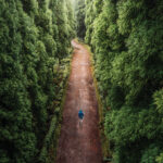 iStock p4 1478017633 Nastco