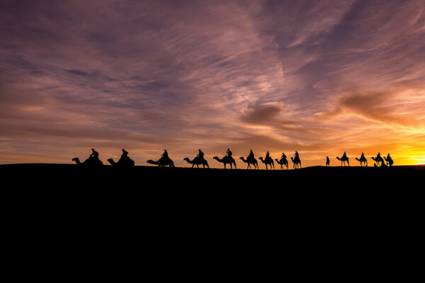 iStock p16 496821256 Rachapol