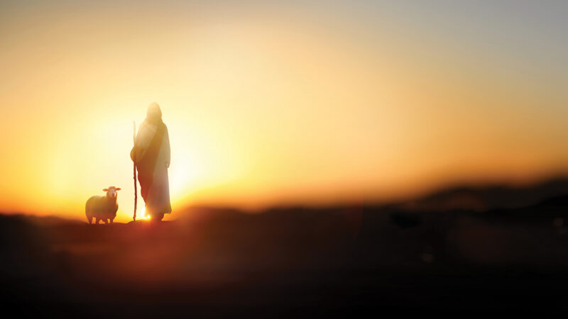 Jan Feb26 iStock p07 2243539586 artplus