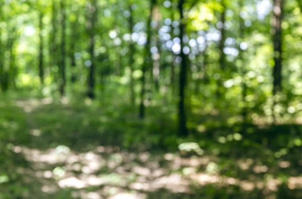 iStock 2149614414 Mr Twister 768x395