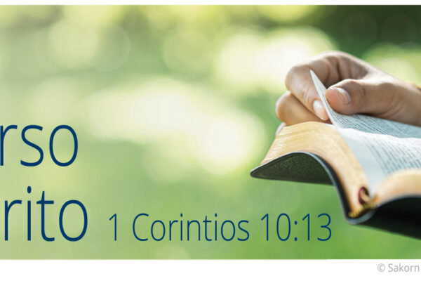 My Favorite Verse Sp