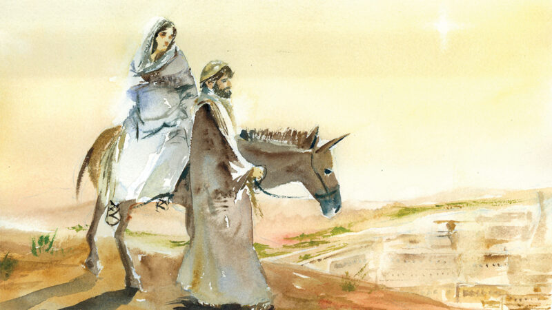 iStock p04 1058105610 Nankimstudio